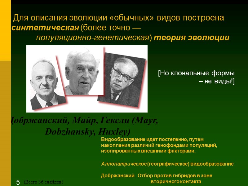 Добржанский, Майр, Гексли (Mayr, Dobzhansky, Huxley) Видообразование идет постепенно, путем накопления различий генофондами популяций,